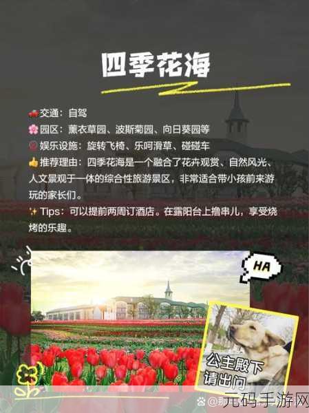 免费的黄冈网站有哪些平台：1. 免费黄冈网站资源大全，助力学习与成长