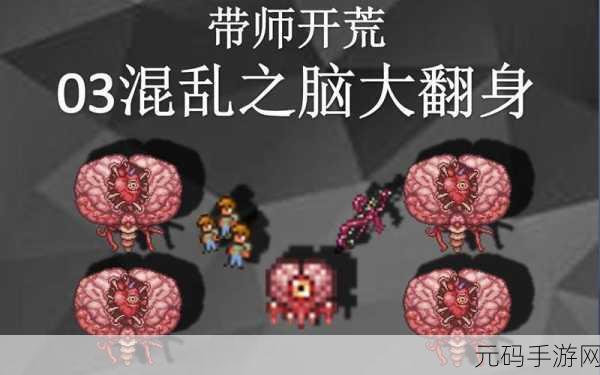 泰拉瑞亚探险揭秘,混乱精华的神秘掉落条件大起底