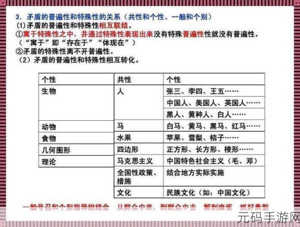 人与畜禽：人与畜禽关系：共生与和谐发展的新探讨