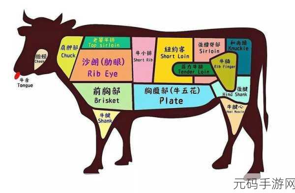创造与魔法美食探索，揭秘三文鱼刺身的制作秘籍