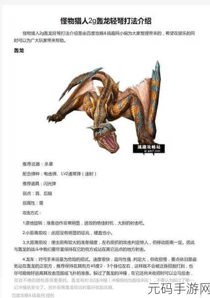 怪物猎人X轻弩配装深度剖析,实战策略与顶级推荐