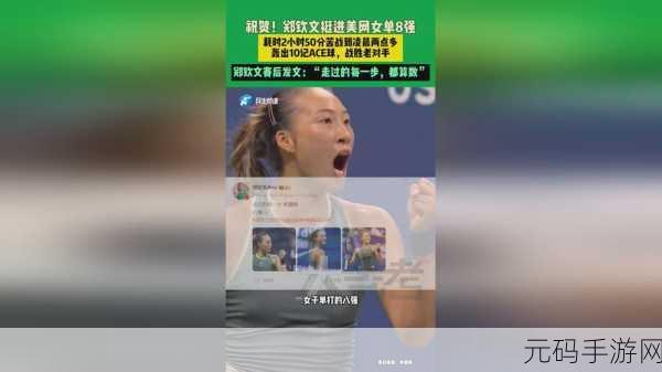 成色好P31S:1. 探索成色好P31S的独特魅力与优势