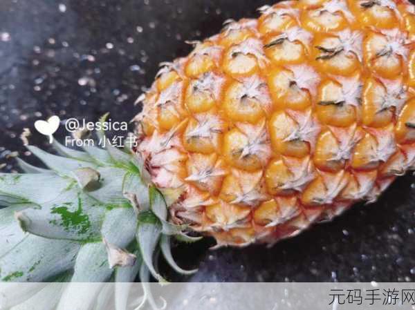 菠萝菠萝蜜视频在线观看时间最新版：当然可以，以下是一些基于“菠萝菠萝蜜”视频主题的新标题建议：