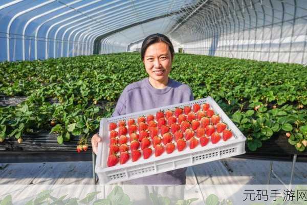 草莓视频榴莲视频丝瓜视频小猪视频苹果:1. 甜蜜草莓:探寻夏日清新之旅