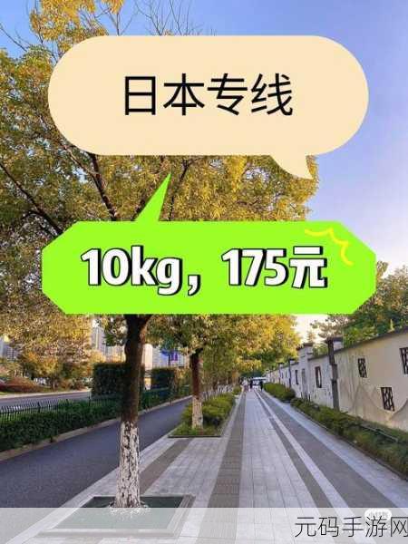 欧洲码日本码专线:1. 欧洲与日本专线联通,开启全球物流新篇章