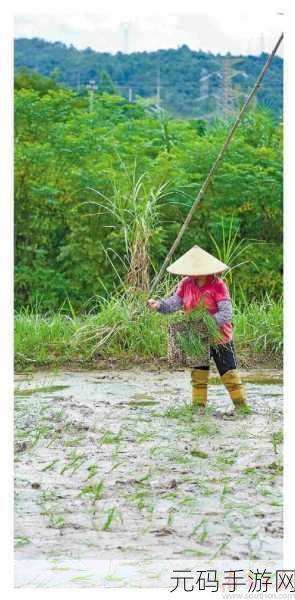 情侣的一百种插秧法表示这里只有精品发文:1. 《爱在田间:情侣插秧的百种创意方式