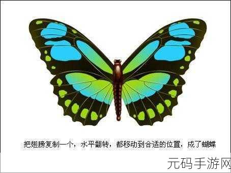 蝴蝶导航:当然可以,以下是一些基于“蝴蝶导航”的新标题建议: