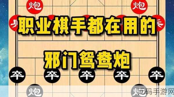 拔萝卜打牌不盖被子:1. 拔萝卜、打牌与盖被子:生活中的趣味交织