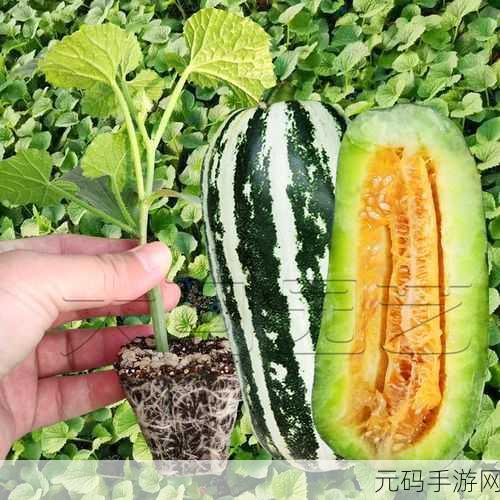 秋葵-茄子-丝瓜-绿巨人苹果在线观看:1. 秋葵与茄子的奇妙搭配,丝瓜的鲜美体验