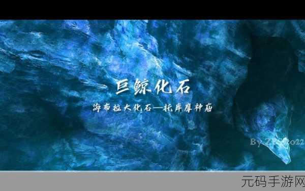塞尔达传说王国之泪鲸鱼化石探秘,解锁古老巨鲸的秘密