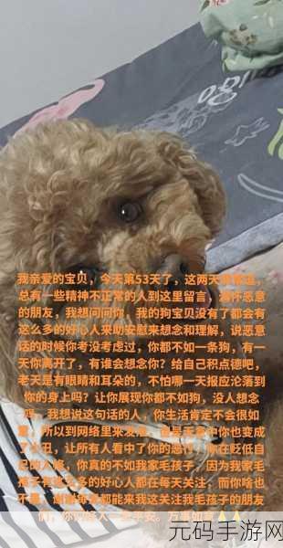 狗狗配人怎么配:1. 如何根据狗狗性格选择最合适的主人