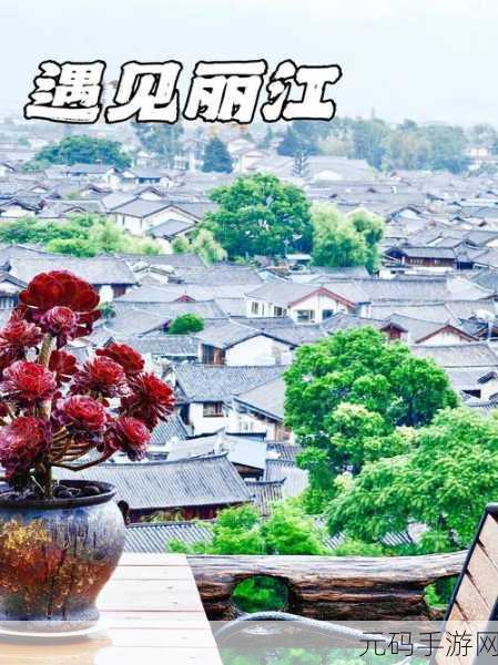 丽江古城找小姑娘电话号码:1. 在丽江古城邂逅小姑娘,获取联系方式的秘密