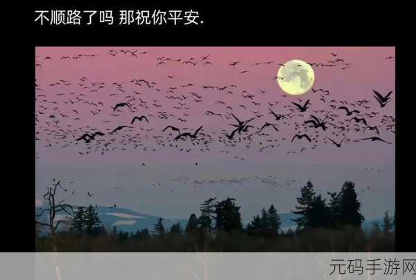 干到她走不了路是什么程度:1. 一步之遥:她的坚持让人感动到无法行走