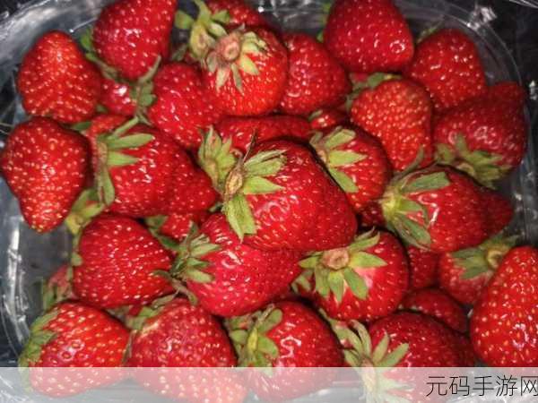 姐姐我想吃你的小馒头怎么回复:1. 姐姐,我也想尝尝你的美味小馒头!