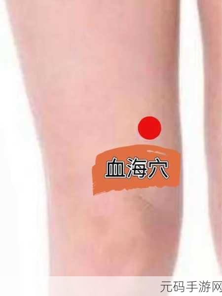 男配每天都在体内成结节：1. ＂男配每天在体内结节中探索新世界