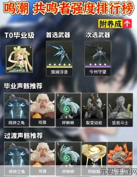 鸣潮漂泊者深度探索，技能奥秘与战斗风采全面剖析