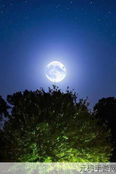 最适合夜里看的直播:1. 深夜直播:与星空对话,感受宁静时光