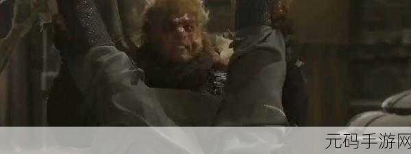 生猴子的全过程不盖被子：1. 生猴子的全过程：揭示自然繁衍的奥秘