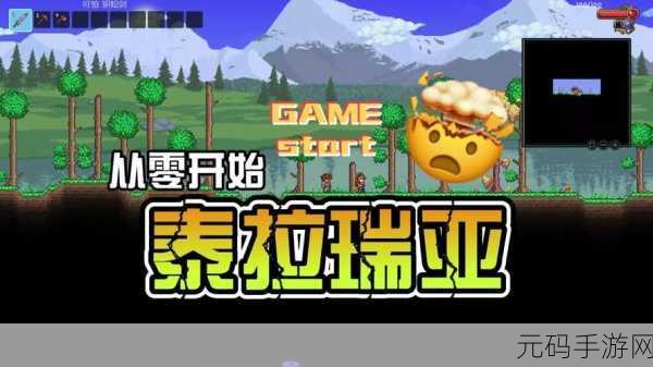 泰拉瑞亚,解锁挖矿新姿势,探索游戏中的独特坐骑