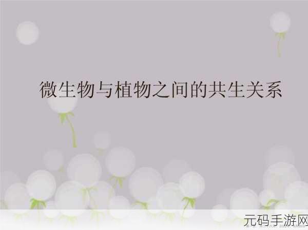 身体内的插曲：1. 身体内的秘密：微生物与健康的奇妙联系