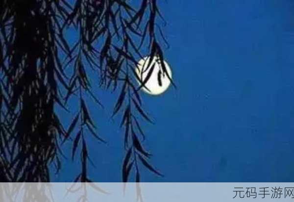 96533电视影片免费真的很快乐:1. 免费观看96533电视影片,畅享快乐时光!