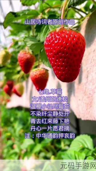 草莓my.1688：当然可以！以下是一些关于草莓的标题建议，每个都不少于10个字：