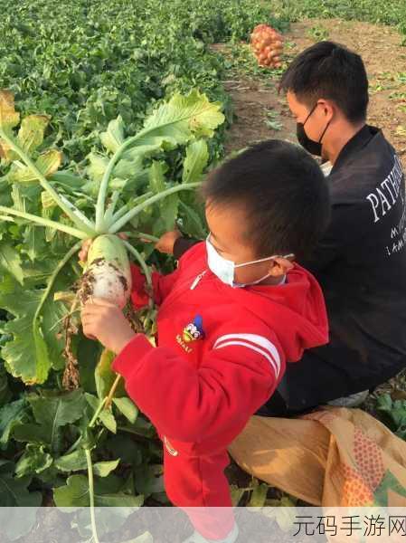 挤牛奶拔萝卜怎么拔:1. 挤牛奶与拔萝卜:农业的双重收获
