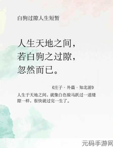 老子这几天都要憋疯了：1. ＂老子心中烦闷，如何寻得内心的宁静？