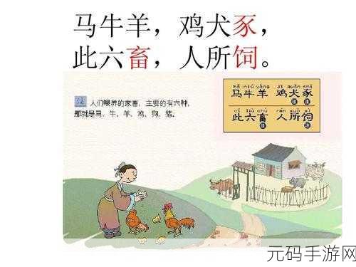 狗配人怎样配马配人呢:1. 《人与马的完美搭配:如何找到最佳伴侣