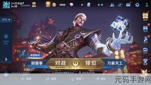 魔域飞升成神,挑战与荣耀的终极之旅