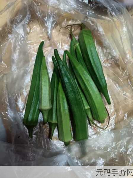 草莓樱桃丝瓜绿**秋葵免费版:1. 秋季鲜果盛宴:草莓与樱桃的完美搭配