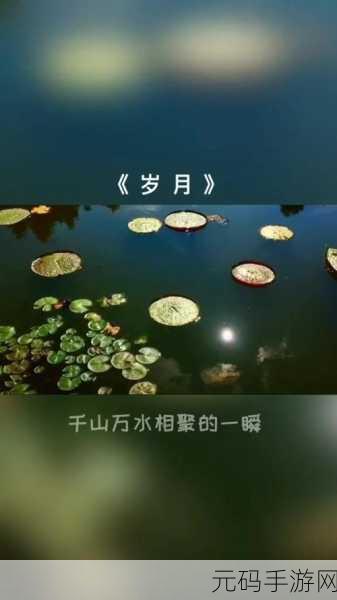 老孙头的春天林初晴:1. 春风拂面,林间初晴的温暖时光
