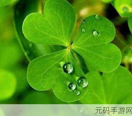 成品网站W灬源码三叶草在线：1. ＂探索W灬源码：三叶草在线的无限可能