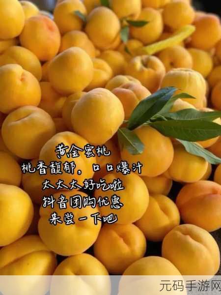 水蜜桃与水蜜桃V2：1. 水蜜桃与水蜜桃V2的完美结合之旅