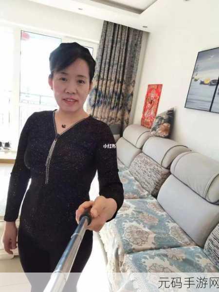 沈阳老阿姨最后的巅峰升级成功:1. 沈阳老阿姨:巅峰升级之路的成功与挑战