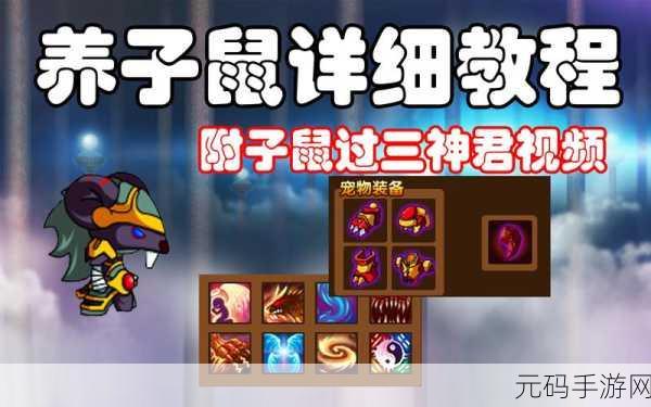 造梦西游3宠物养成攻略，解锁高效提升技能等级秘籍