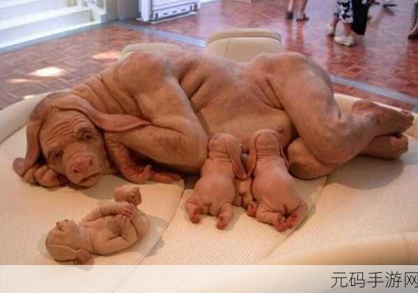 人与猪的DNA:揭秘人与猪DNA的相似性及其生物学意义
