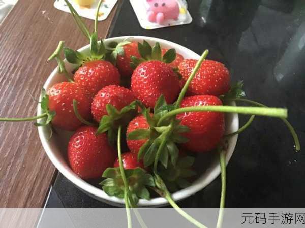 蜜丝婷大草莓与小草莓对比:1. 大草莓与小草莓:甜美滋味的全面对比解析