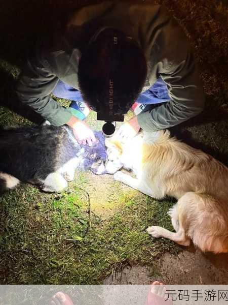 一指挖洞手势技巧：1. 一指挖洞：掌握简单手势的深层应用