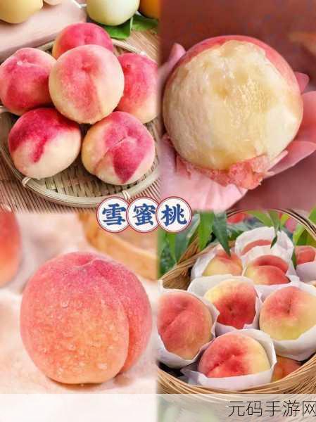 水蜜桃4小蜜桃4：1. 水蜜桃的甜蜜诱惑与小蜜桃的清新滋味