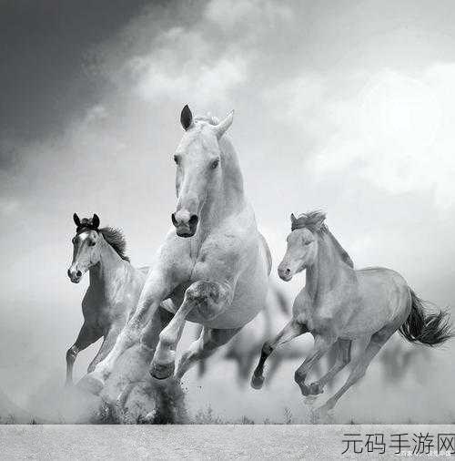 随着马的奔跑而律动皇上:1. 随马奔腾,感受皇上心中的豪情