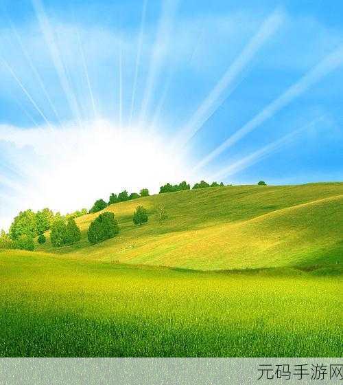 看了就会立的图片:1. "夏日阳光下的清新自然风景
