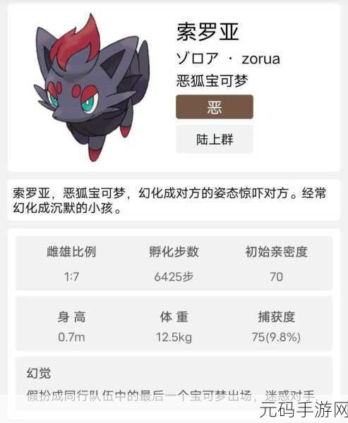 宝可梦大集结，索罗亚克持有物搭配全攻略