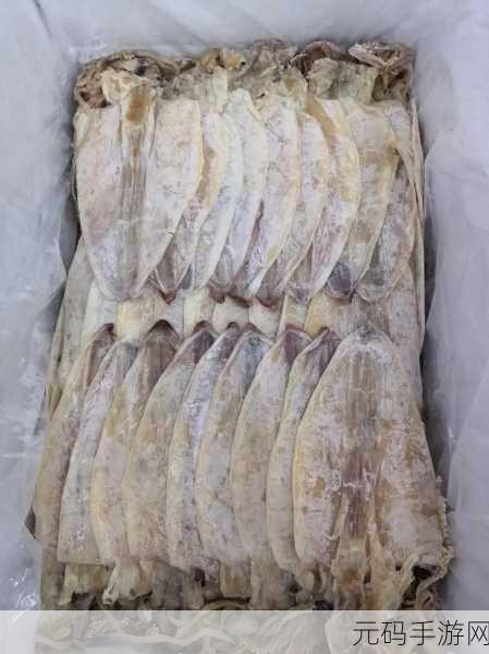 鱿鱼b2577直接进入人事局：1. 鱿鱼b2577：探秘人事局的职能与职责