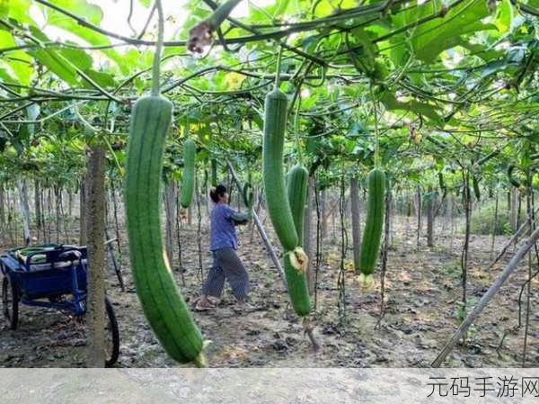 草莓视频无限看丝瓜视频丝瓜视在线观看视频：1. 草莓视频带你畅享丝瓜无限观看体验