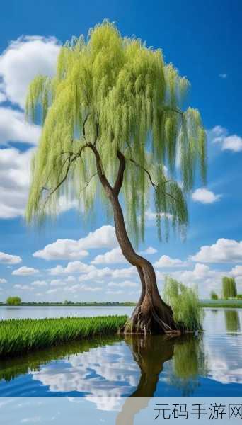 春天里最动人的风景:1. 春风拂面,万物复苏的美丽画卷