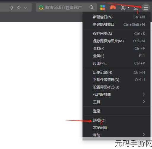 浏览器直接进入网站的注意事项:1. 安全访问网站的注意事项与技巧