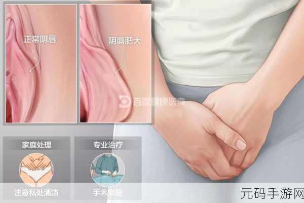 正常阴脣的样子照片视频要下架了:以下是一些可能的标题建议,每个都不少于10个字: