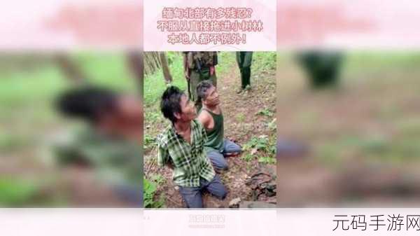 缅北恐怖网站www缅甸:1. 缅北恐怖活动加剧,民众生活陷入困境