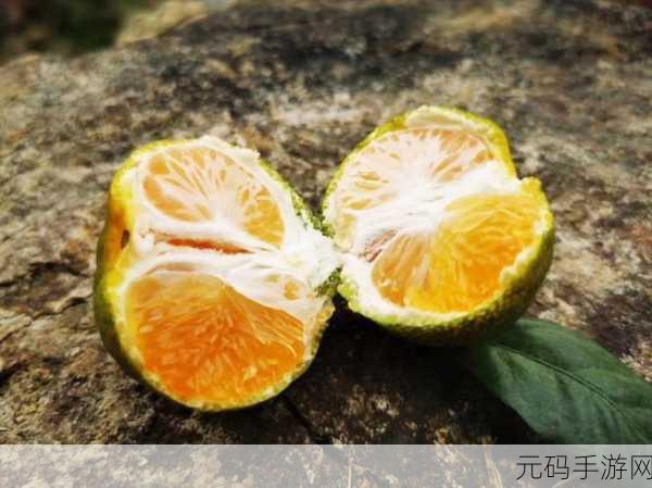 玉杵入牦户天下一奇吃桔带皮:1. "玉杵入牦户:桔子皮的奇妙美味探索